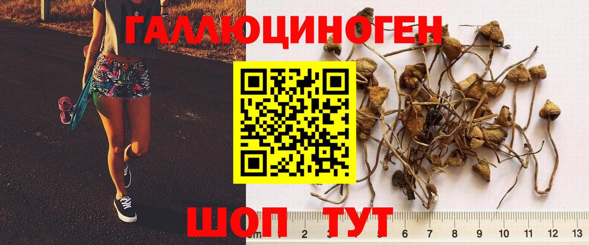 Ивантеевка  где продают наркотики  Вход с VPN  Галлюциногенные грибы Cubensis  Галлюциногенные грибы мухоморы 